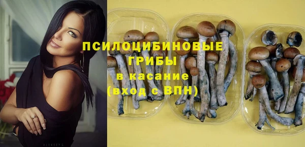 шишки Зеленокумск