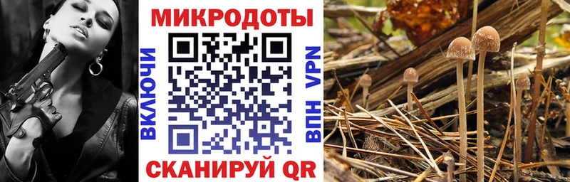 Галлюциногенные грибы Magic Shrooms  omg рабочий сайт  Ковылкино 